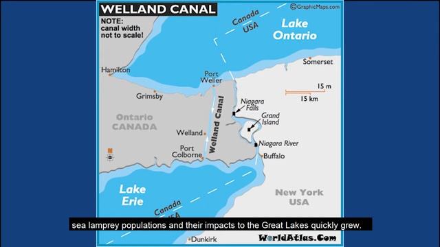 Sea Lamprey AIS Creature Feature: Fox-Wolf Watershed Alliance смотреть онлайн