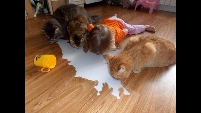 С друзьями веселее With friends fun смотреть онлайн