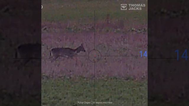 Pulsar Digex C50 digital colour night vision even after sunset смотреть онлайн