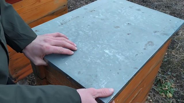 Контроль зимовки пчел в разних типах ульев 26.01.2020 смотреть онлайн