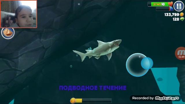 Обзор рифовой акулы ( Hungry shark evolotion ) #8 смотреть онлайн