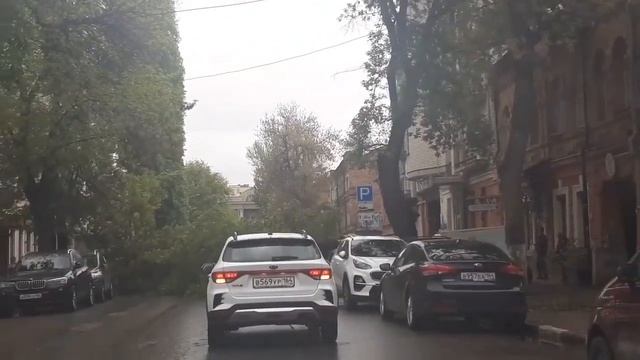 Дерево упало на улице Яблочкова смотреть онлайн