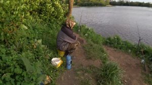 Река Луга. Куровицы.