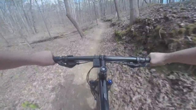 Rock Shox Recon Silver Rockhopper Mountain Bike Upgrade.