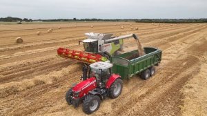 Claas Trion 650 (4K)