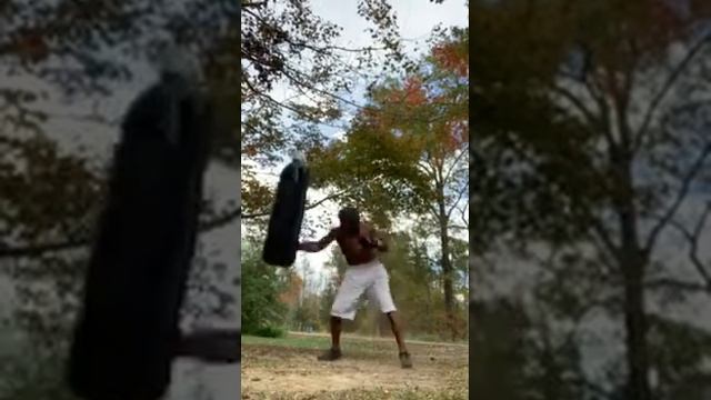 80 Peace Stewart aka LION KNIGHT 🥷🥊📜 смотреть онлайн