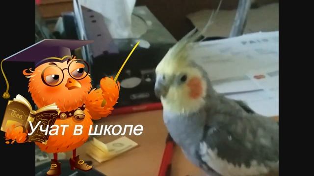 учат в школе смотреть онлайн