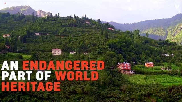 A Turkish village with hundreds of years old secret language called "Bird Language" смотреть онлайн