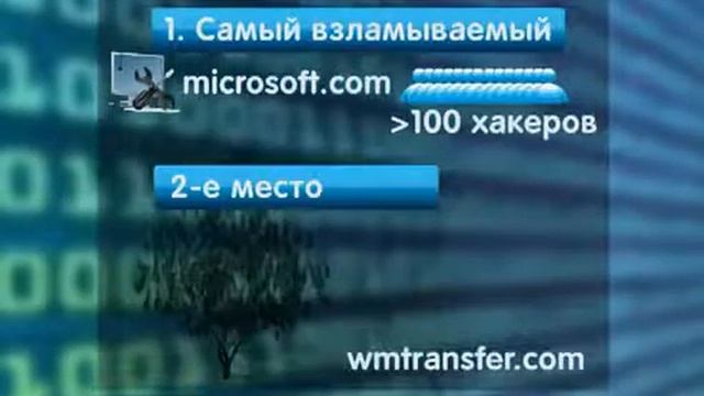 Инфографика Самые взламываемые сайты в мире смотреть онлайн