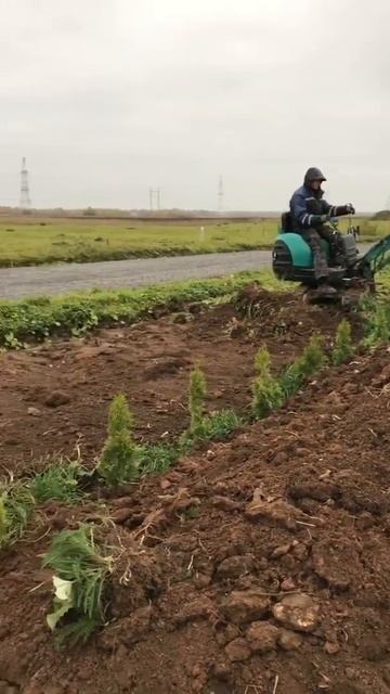 Выборка грунта смотреть онлайн