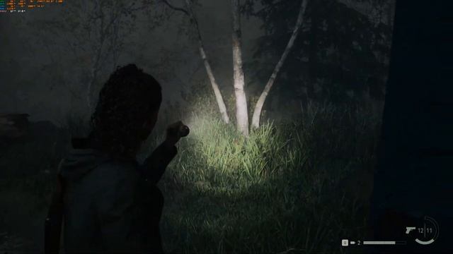 Alan Wake 2 - max setts 4K, FSR performance ON, part 8 смотреть онлайн