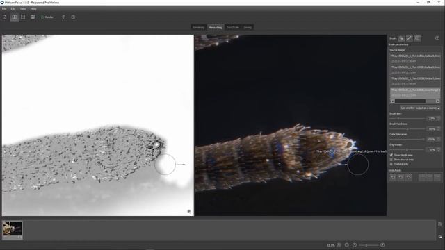 Helicon Focus v. 8 Sub-stack & Retouching смотреть онлайн