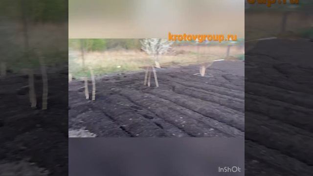 Вспашка участка мотоблоком смотреть онлайн