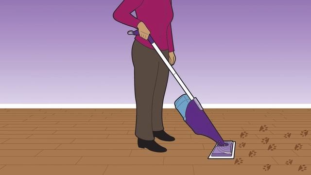 Swiffer Cleaning Products are Pet Safe | Swiffer смотреть онлайн