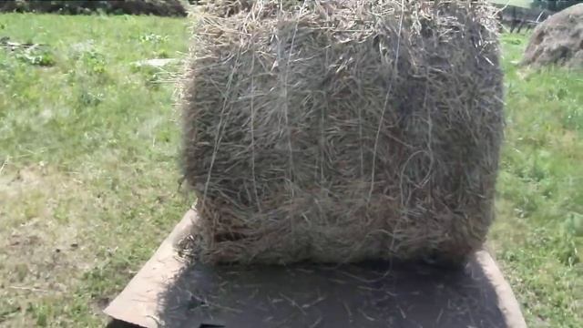 мини трактор испытание