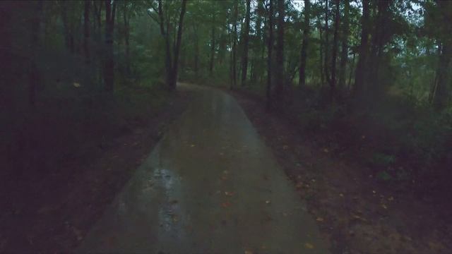 4k 120Hz/fps Video Test | 2x Speed for 120fps | Rainy Day In Memorial Park | Part 2 смотреть онлайн