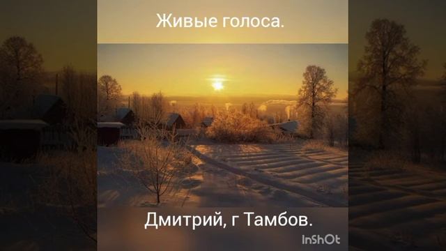 Живые голоса, Дмитрий г Тамбов. смотреть онлайн