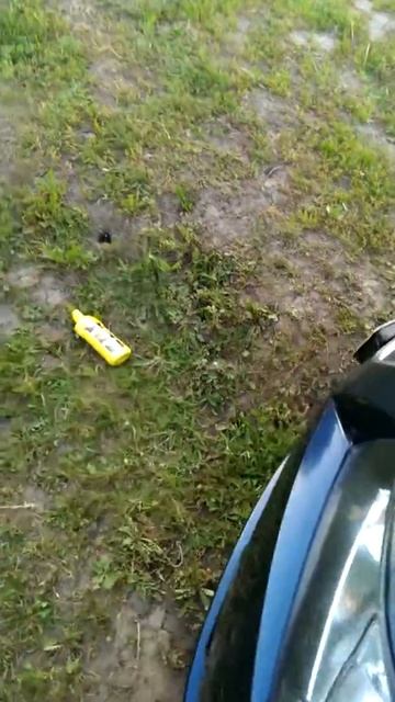 Полироль бесцветный Doctor Wax 