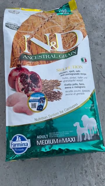N & D Best dry dog food for huskies !! Follow and subscribe for more tips смотреть онлайн