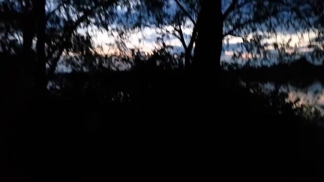 Соловей смотреть онлайн