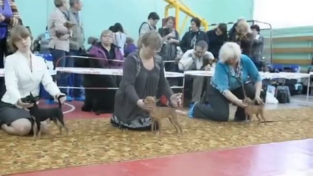 МОНО ПК, МУРМАНСК, СРАВНЕНИЕ НА ПК кобели смотреть онлайн