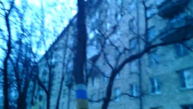 Москва. Поездка с ВДНХ на Аэропорт за гирляндами-2. смотреть онлайн