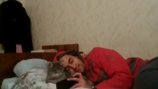 Буся, Амир и птички. смотреть онлайн