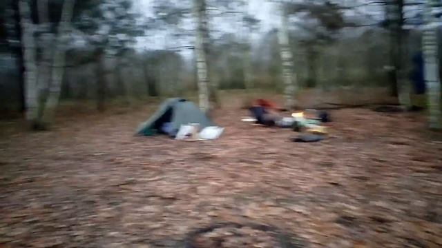 Сорокошичи ноябрь 2020 - 21.11.2020