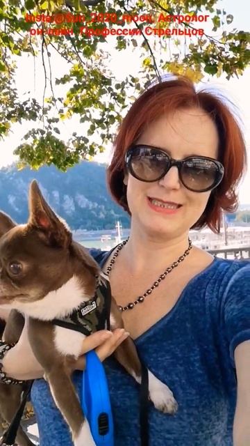 Стрелец, профессии, иммиграция. #астрологонлайн #гороскоп #sun_2020_moon смотреть онлайн