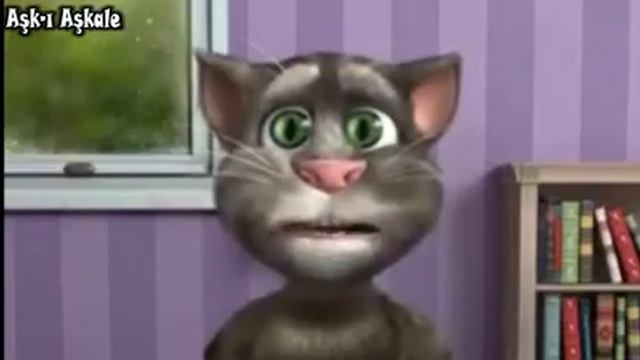 Kedi isyanlarda смотреть онлайн