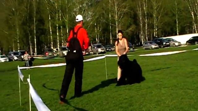 Малаховская Комета Внучка Особы