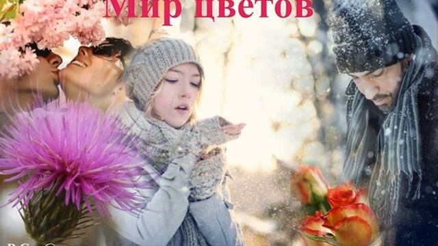 Мир цветов /Вадим Странник смотреть онлайн