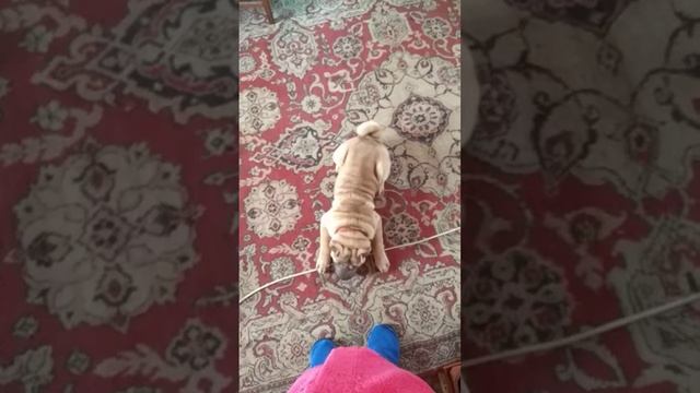 Нюша ругается с мамой потому что хочет на улицу а ее не пускают смотреть онлайн