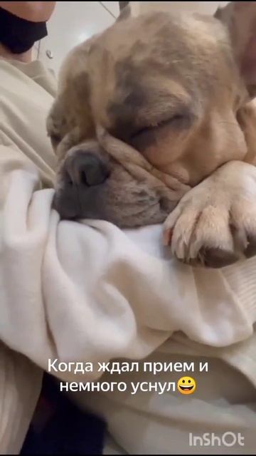 Не дождался прием и заснул смотреть онлайн