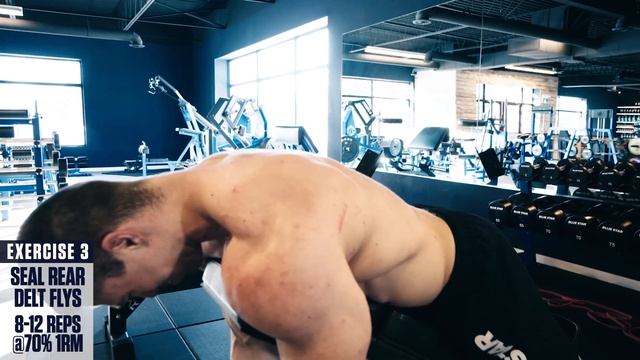 International Delt Day - Shoulder Hypertrophy Workout смотреть онлайн