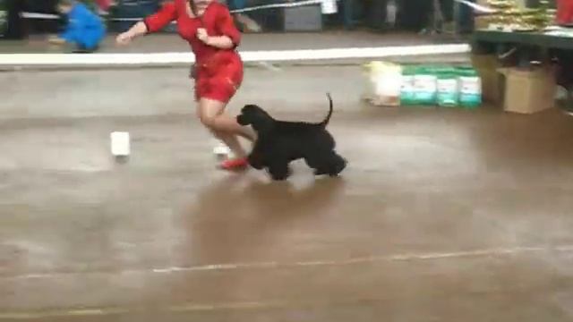 КОО. 08.12.13.Респ.8гр. LEADER LINE GARDIAN ANGEL смотреть онлайн