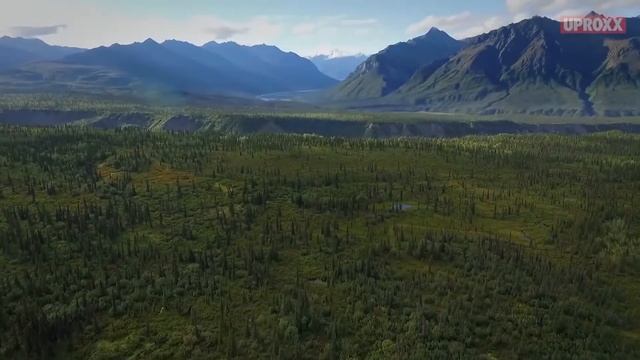 Вим Хоф (Wim Hof) – «Ледяной человек» | Пределы человеческих возможностей (2016) #ВимХоф