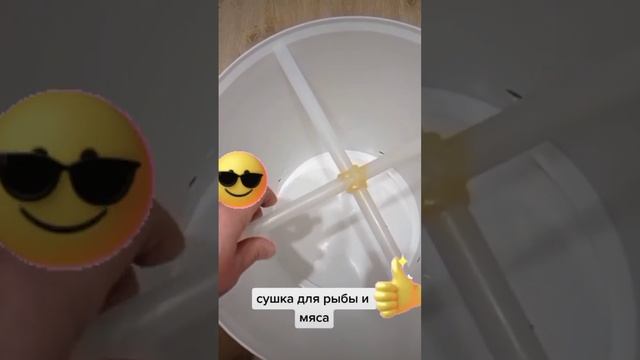 Сушка для рыбы и мяса смотреть онлайн