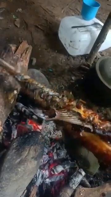 sedapnya bakar ikan masheer di tengah hutan,,,,, смотреть онлайн