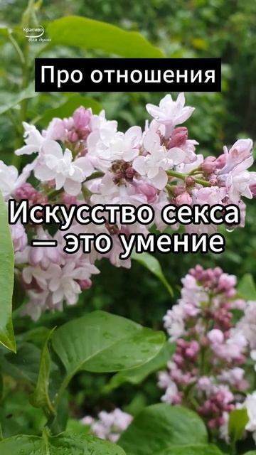 Искусство секса — это #психология #факты смотреть онлайн