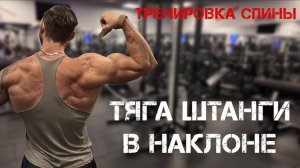 Тяга штанги в наклоне. Главное упражнение для широчайших и всей спины в целом