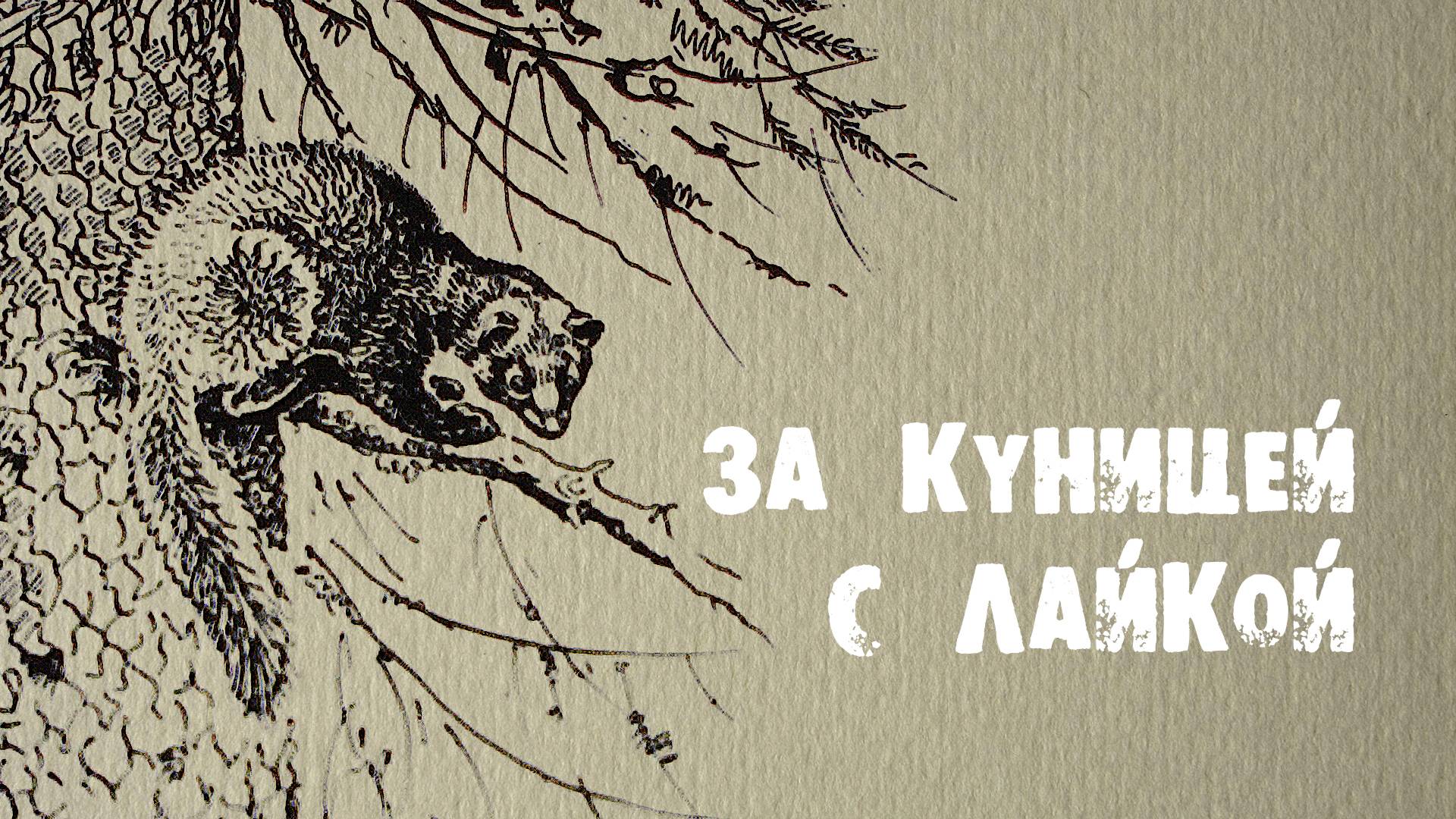 За куницей с лайкой