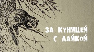 За куницей с лайкой