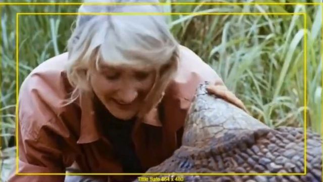 #12 Uncropped 35mm Film Film Scan - Triceratops - Jurassic Park (1993) смотреть онлайн