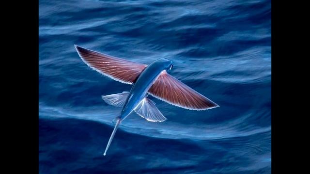 начало проекта смотреть онлайн