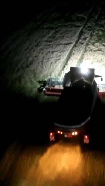 Российские комбайны ТОРУМ 785 НА ТРАВЕ #agriculture #farming #сельскоехозяйство #agricultura