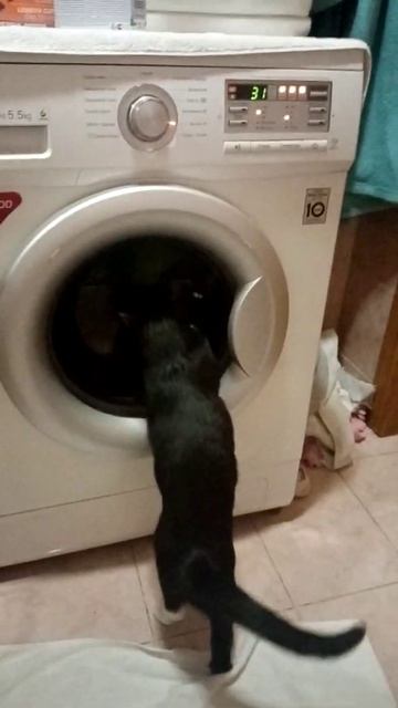 Отправить смотреть онлайн