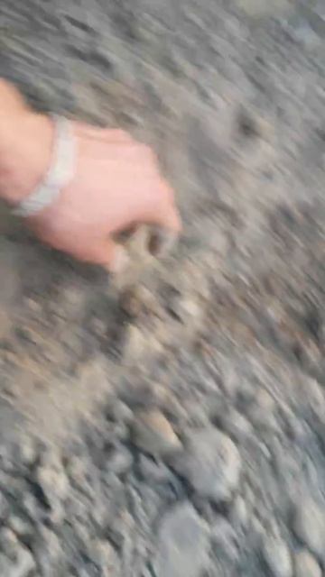 После обработки ежами. смотреть онлайн