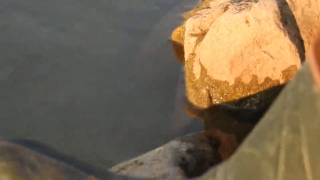 Kameňáček pestrý a jespáčci смотреть онлайн