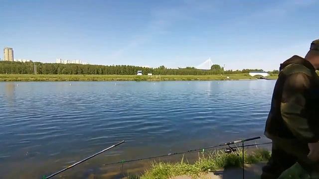 Ловля плотвы в 2024 году на фидер . #рыбалка2024 #ловляплотвы #фидернаярыбалка смотреть онлайн